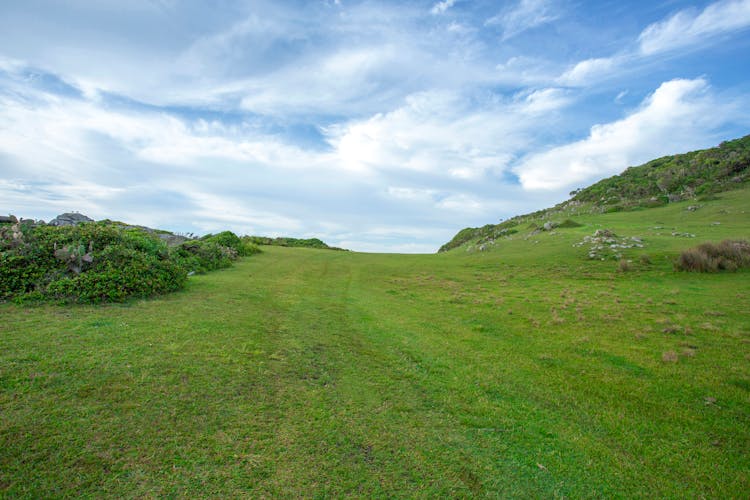 Green Grass Meadow In The Hill