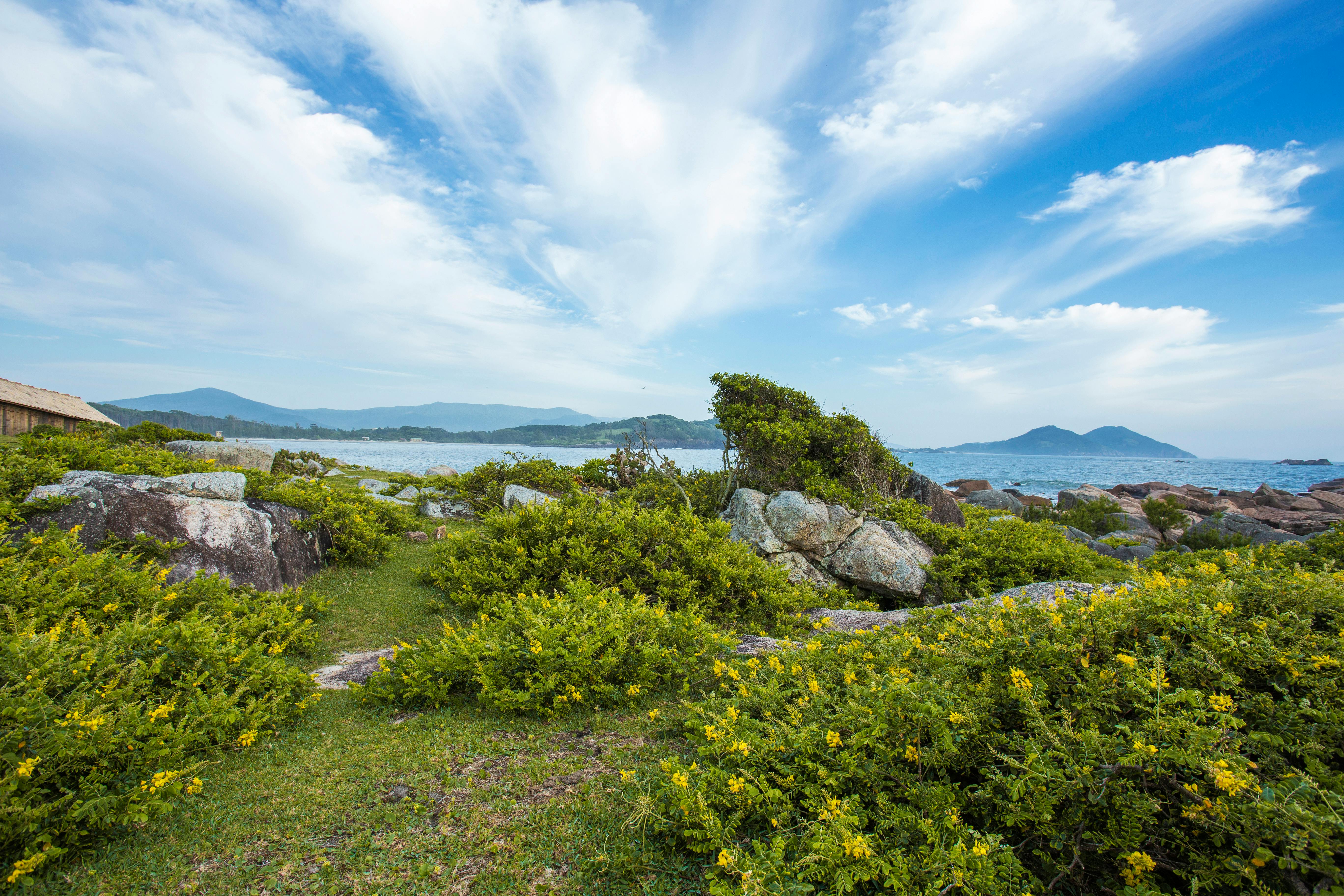 Praia do Rosa: o refúgio sustentável onde baleias chegam no inverno em Santa Catarina
