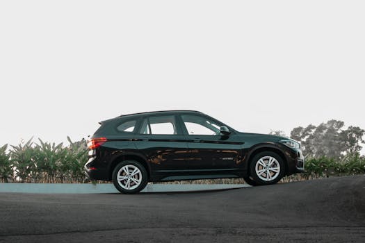 Elegant black SUV parked on a serene road with greenery in the background.