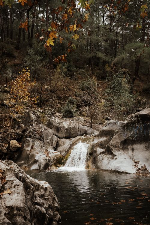 Free Serene waterfall flowing into rocky pool surrounded by autumn foliage in a forest. Stock Photo