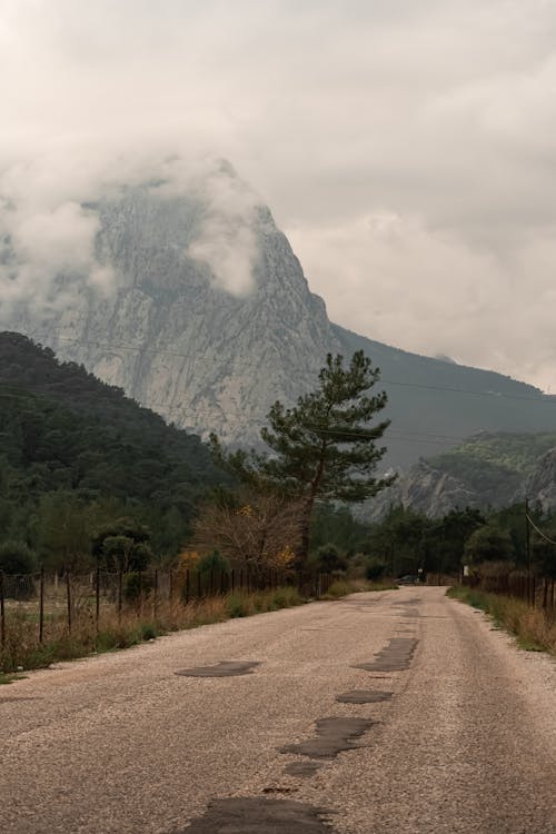 Δωρεάν στοκ φωτογραφιών με βουνό, δέντρα, δρόμος