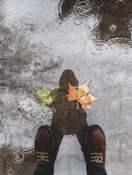 Leather boots standing on wet ground with autumn leaves and water reflections on a rainy day.