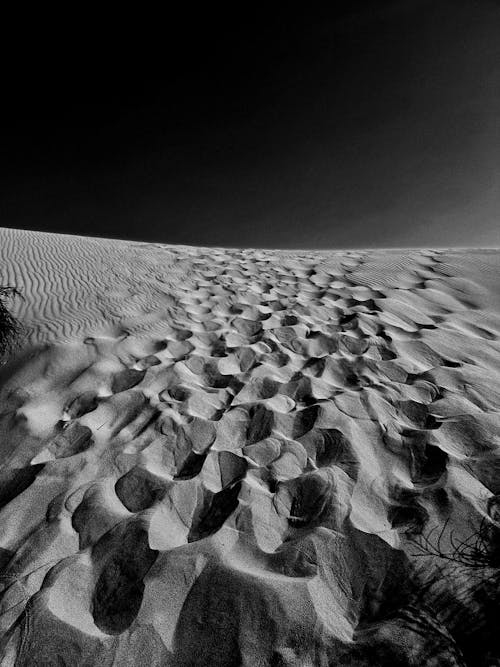 무료 로우앵글 샷, 모래, 모래 언덕의 무료 스톡 사진