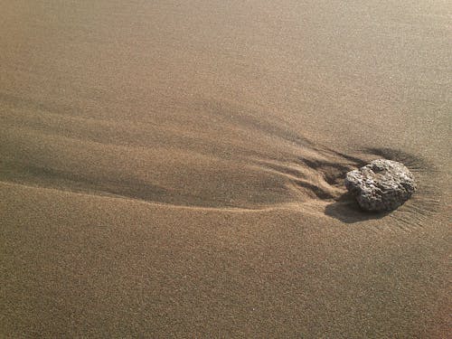 Бесплатное стоковое фото с ветер, дюна, лежащий