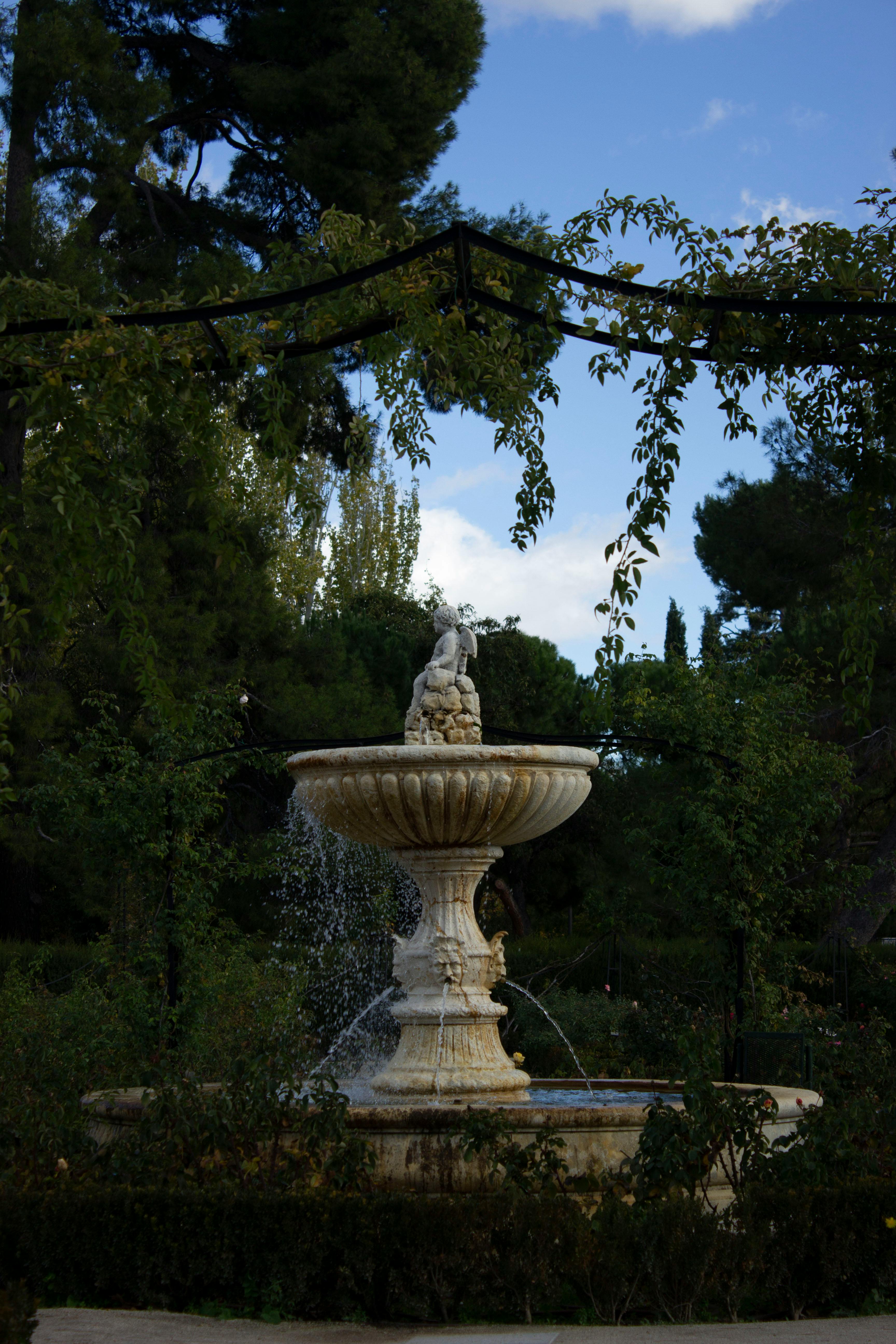 la rosaleda parque del el retiro