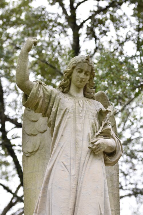 Free Elegant angel sculpture standing amidst serene trees in a cemetery. Stock Photo