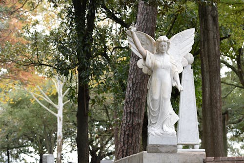 bezplatná Základová fotografie zdarma na téma anděl, hřbitov, hrob Základová fotografie