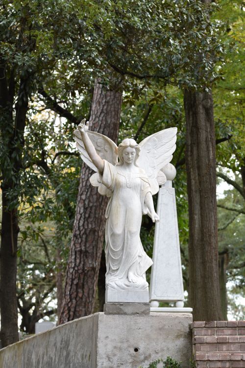 Free Elegant marble angel statue amidst trees, embodying serenity and artistry in a natural setting. Stock Photo