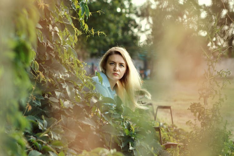 Woman Posing In Summer Park