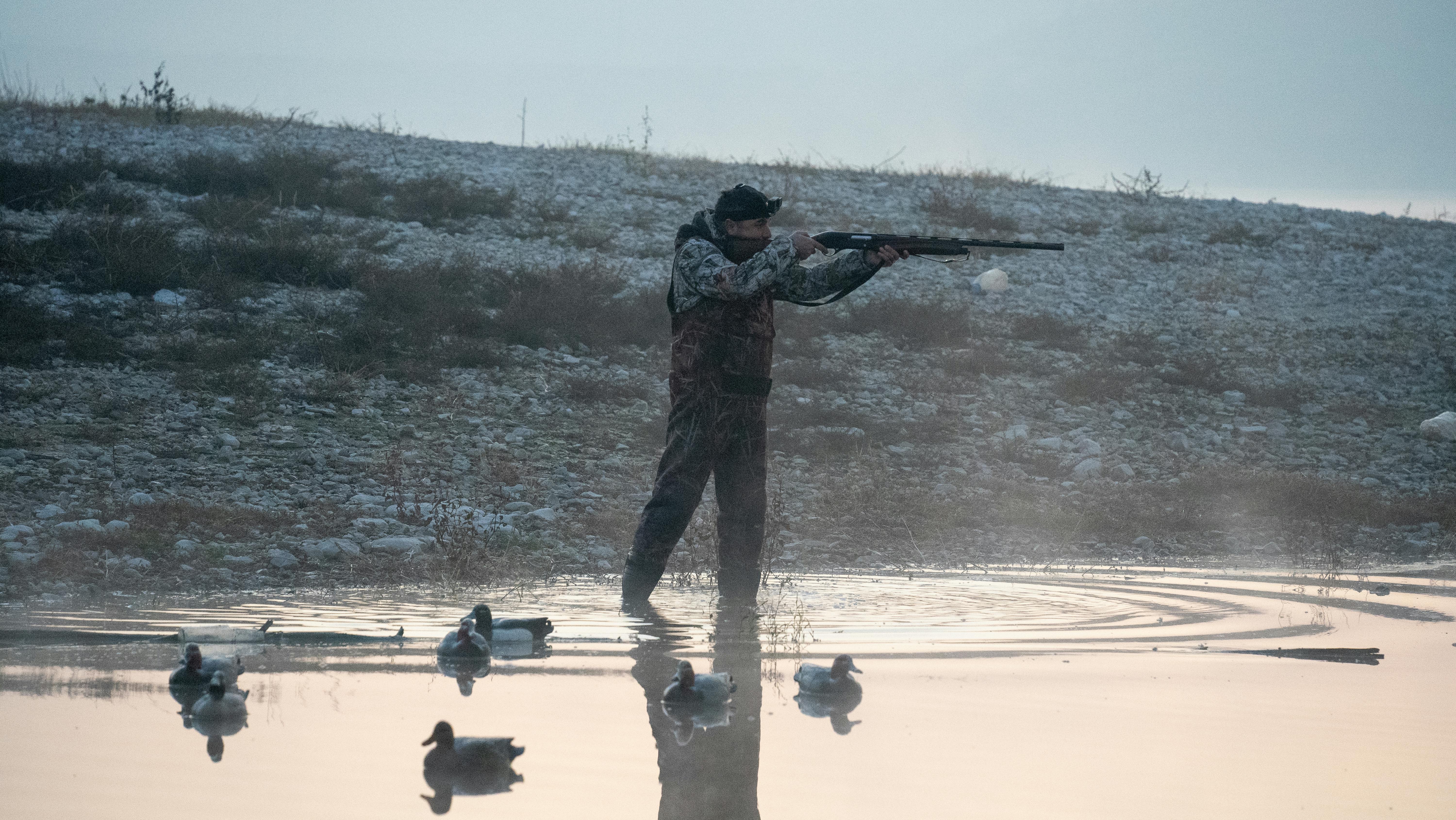 Man Wearing Camouflage Clothing Hunting with a Rifle, and Ducks on a Pond