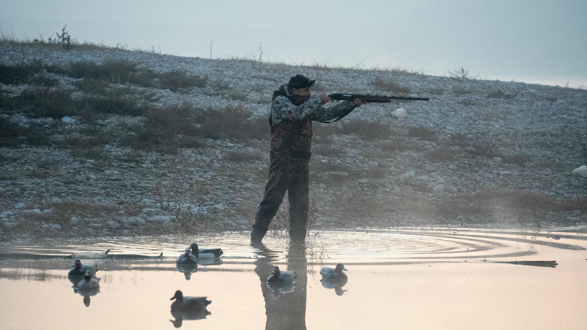 Man Wearing Camouflage Clothing Hunting with a Rifle, and Ducks on a Pond