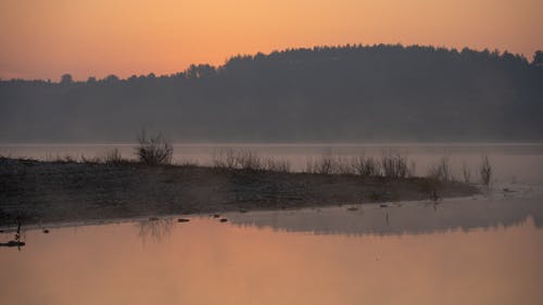 Foto profissional grátis de alvorecer, arbustos, calmaria