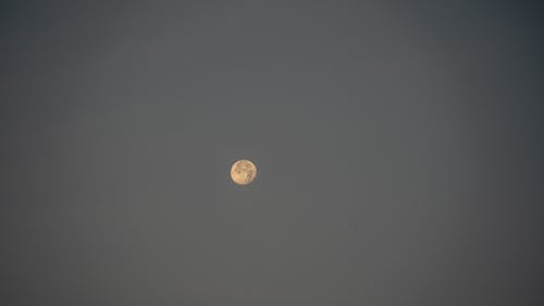 A Full Moon in the Grey Sky