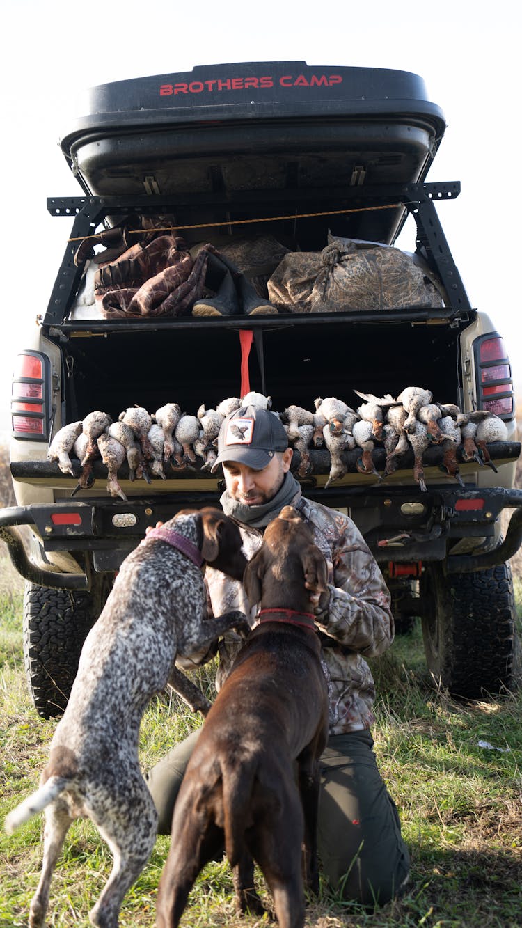 A Hunter With His Pet Dogs