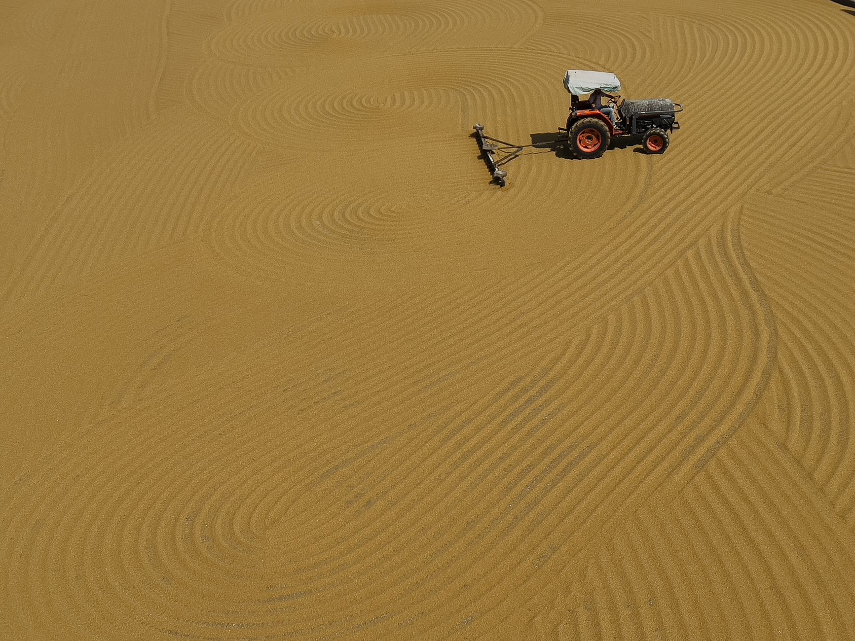How Advanced Seed Technology Is Fortifying Global Food Chains Against Climate Volatility