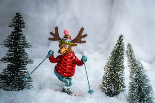 Ilmainen kuvapankkikuva tunnisteilla hiihtäminen, joulu, joulukuuset
