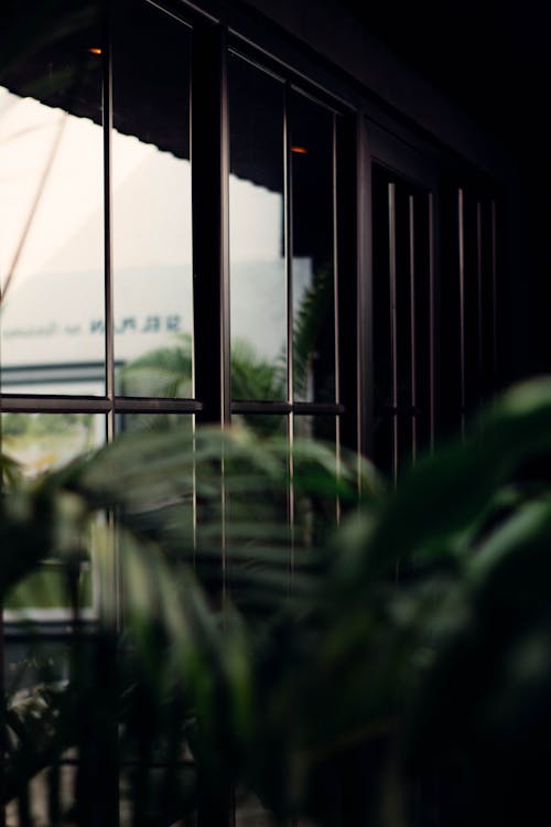 Plants Growing in Room with Glass Wall