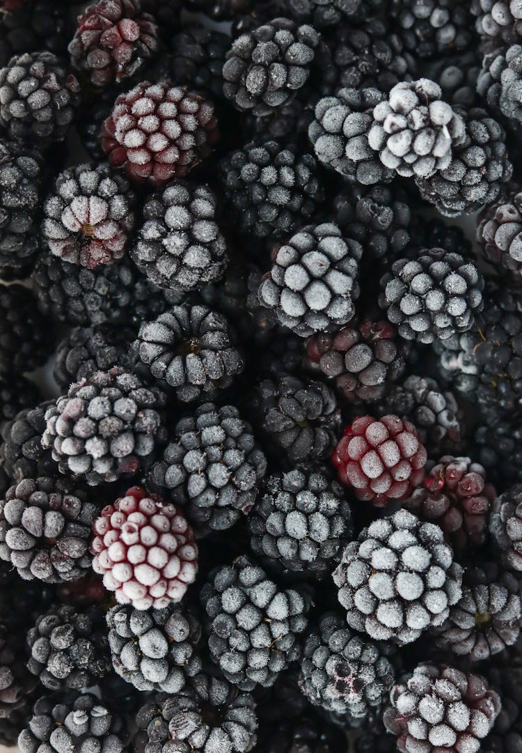 Close Up Of Frozen Blackberries