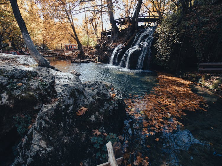 River In The Middle Of The Forest