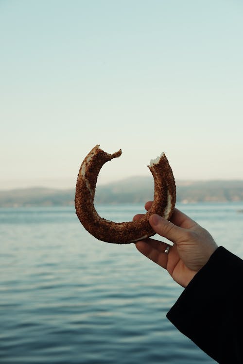 Základová fotografie zdarma na téma čisté nebe, detail, držení