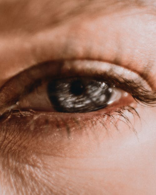 Close-Up Shot of the Human Eye