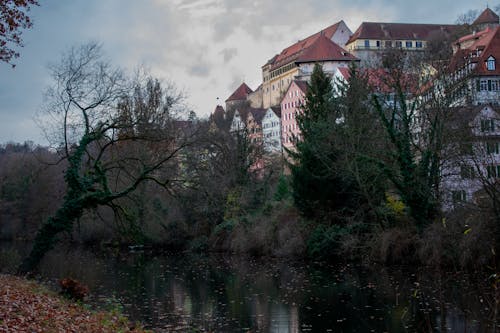 Gratis stockfoto met bomen, gebouwen, reflectie