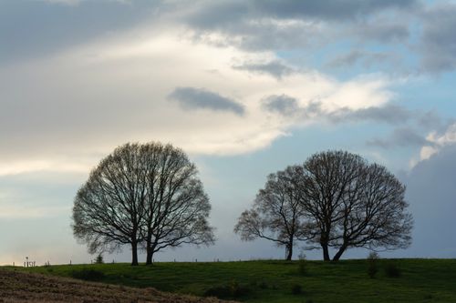Free Tranquil autumn countryside scene featuring leafless trees and a vast sky. Stock Photo