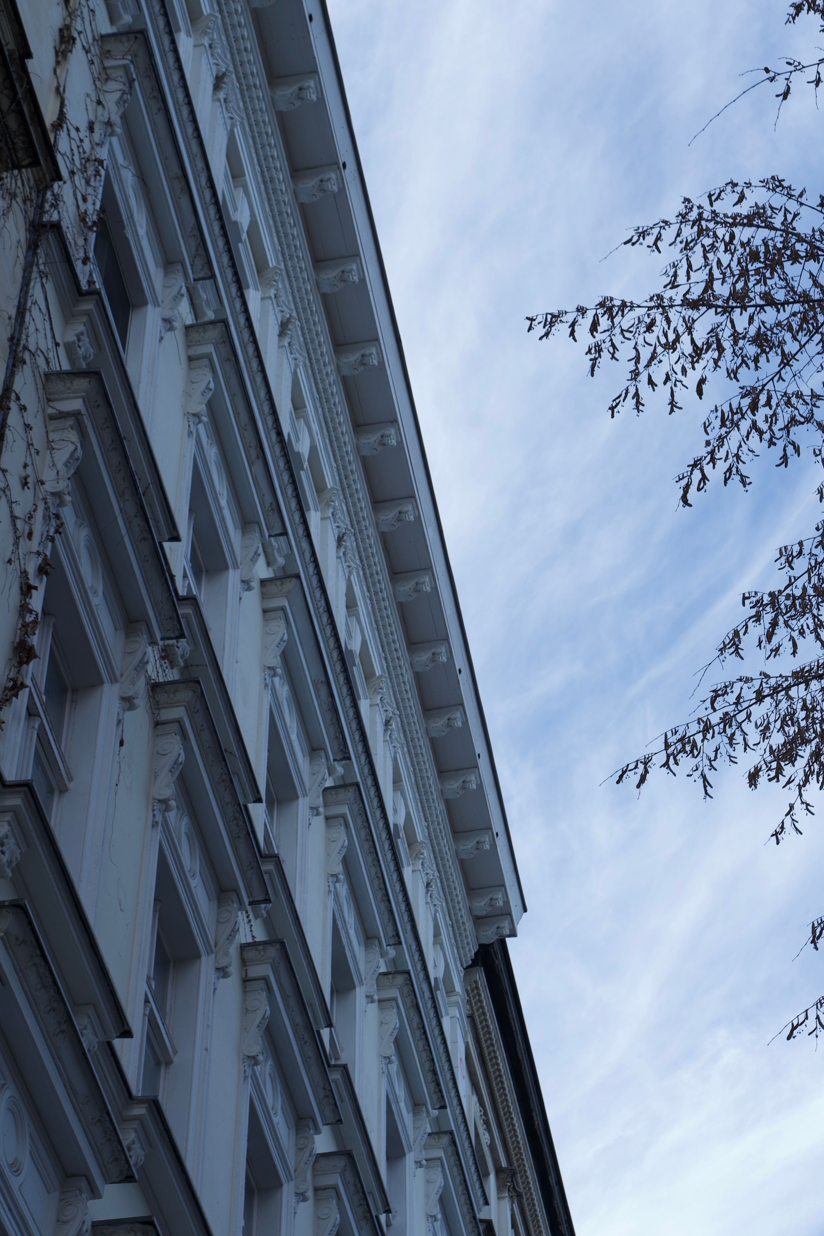 Free Low angle view of a classic building facade with sky and tree branches. Stock Photo