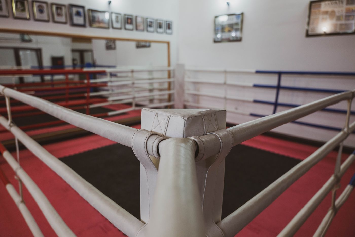 Boxing ring under lights prepared for a pay-per-view fight night in the United States
