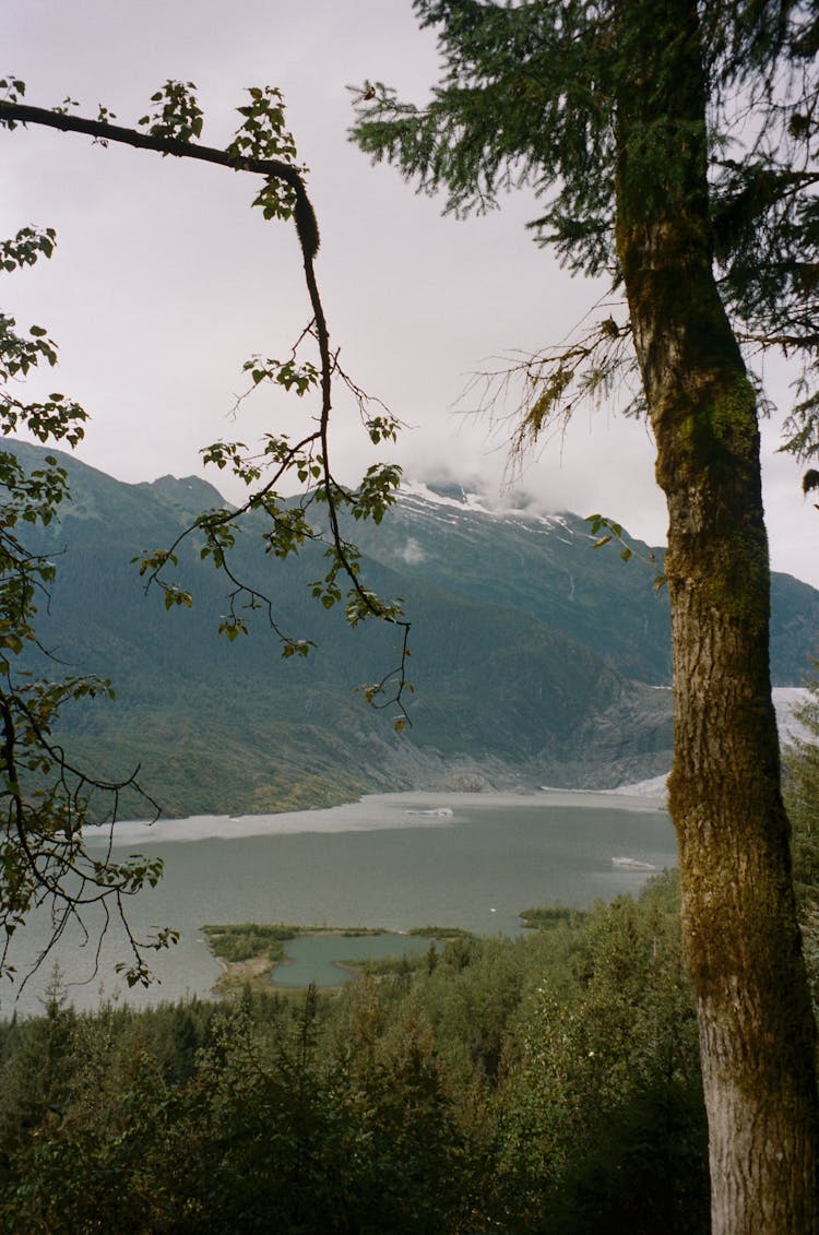 Mountain Lake Landscape 