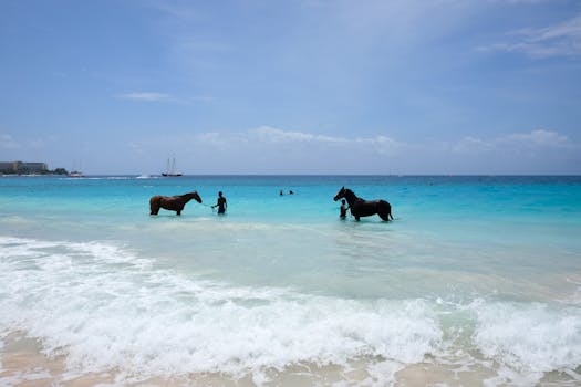 A serene beach scene with horses wading in the turquoise ocean alongside people.