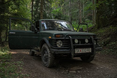 Kostenloses Stock Foto zu 4x4, abenteuer, ausflug