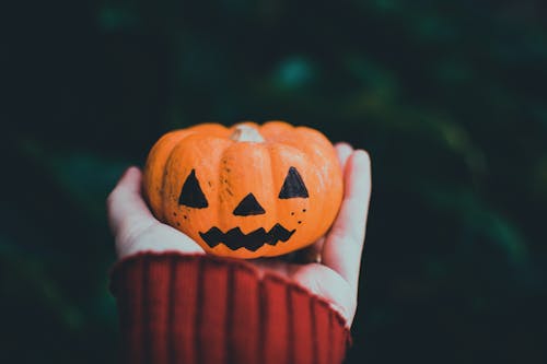 Phtoto of Person Holding Orange Pumpkin Ornament 