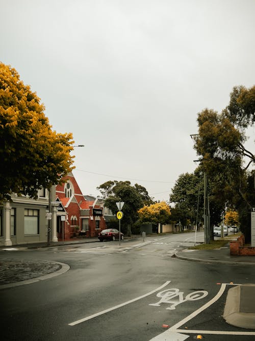 Gratis stockfoto met bomen, city street, gebouwen