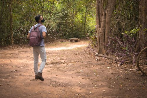 Free stock photo of bag, bamboo, famous place Stock Photo