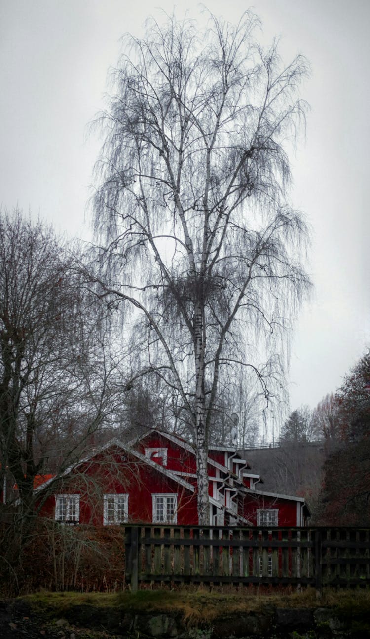 Red And White House Near Tree Under Gloomy Sky