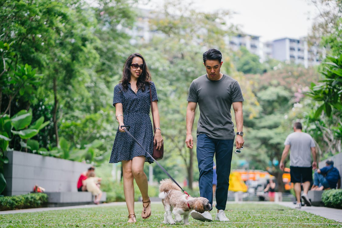 Free Man And Woman Walking The Dog In The Park Stock Photo