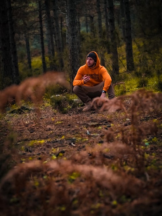 Man in an Orange Sweater in the Forest Free Stock Photo