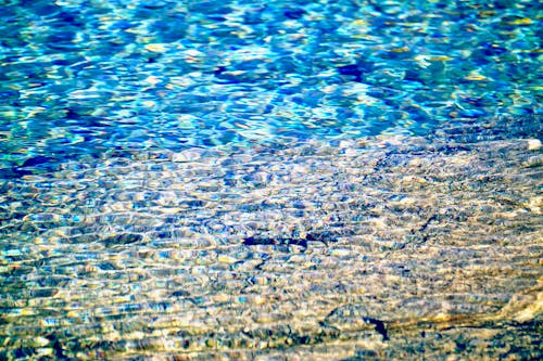Foto profissional grátis de água, azul, embaixo da água