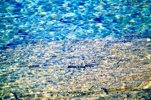 Fotos de stock gratuitas de agua, azul, bajo el agua