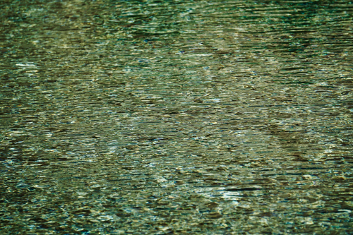 Free Close-up view of a textured green water surface revealing calm and patterns. Stock Photo