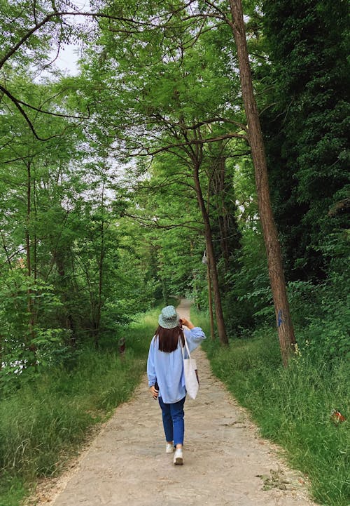 Free A Person Waking on a Forest Path Stock Photo