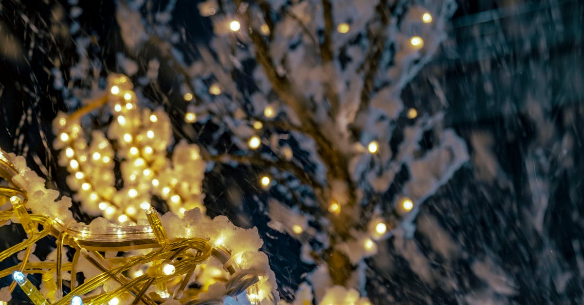 Free stock photo of bright, christmas images, cold, color, crystal ...