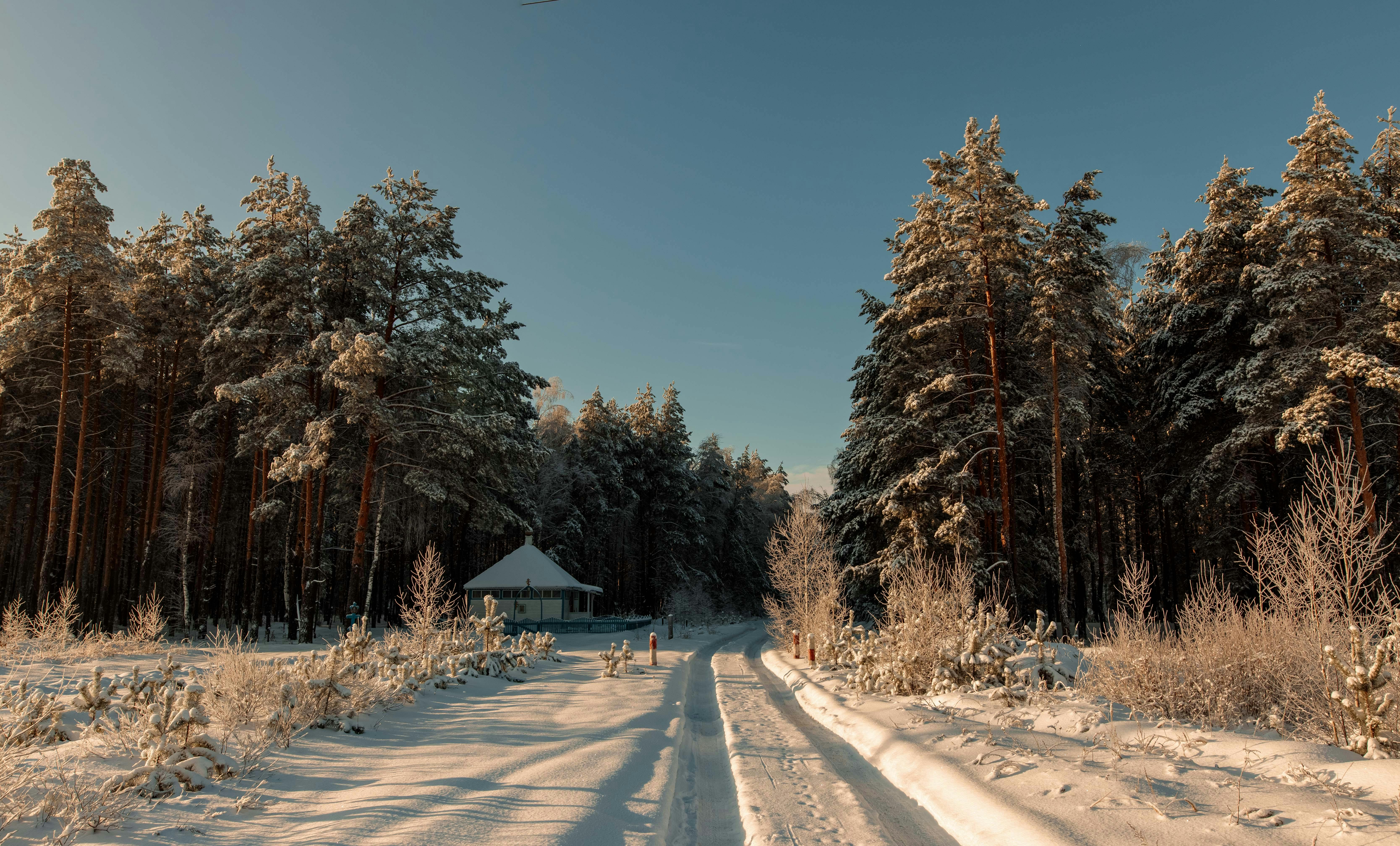Do I need to peel my shrimp while frozen or after they are thawed?