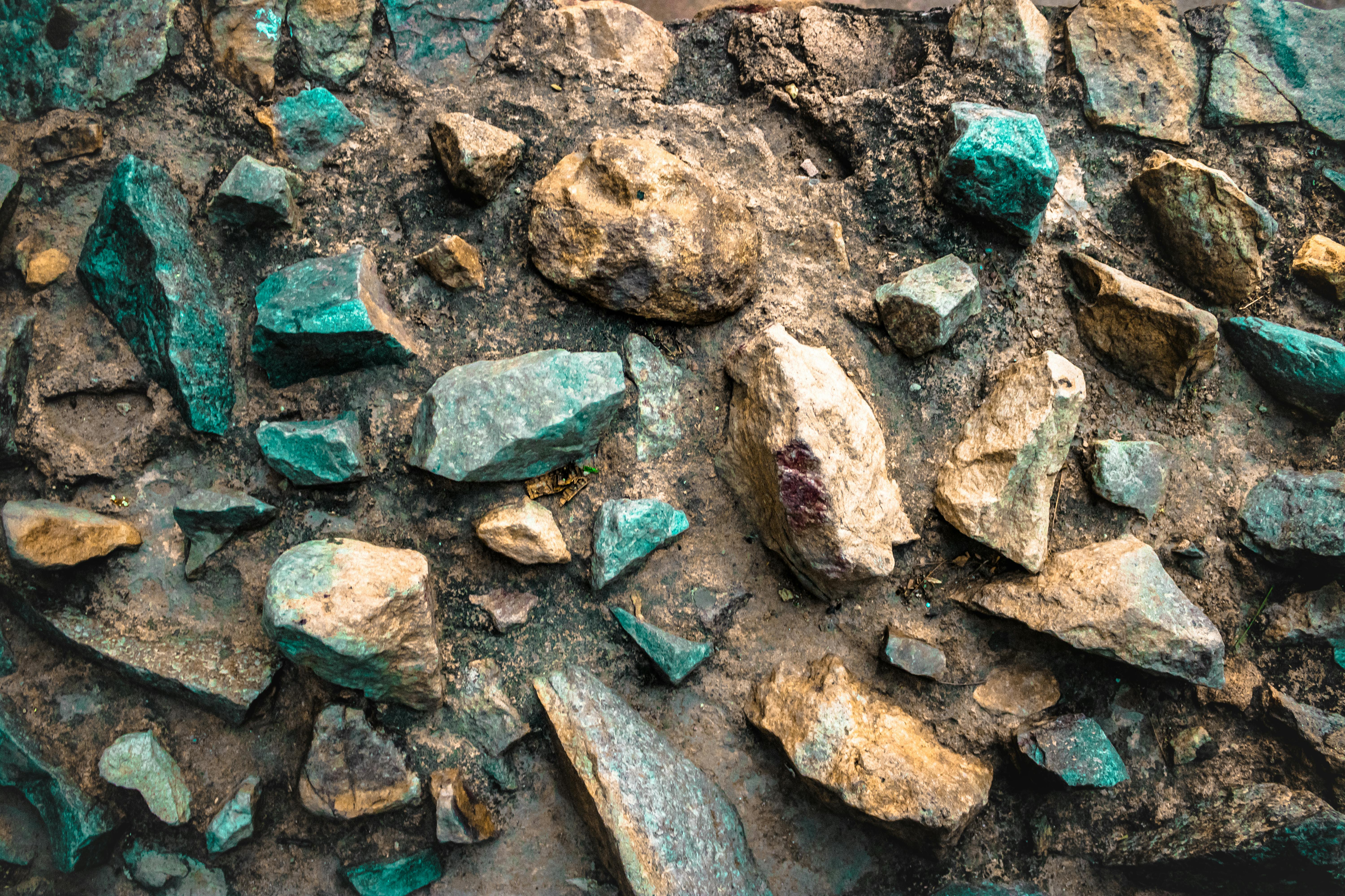 Did Caiaphas’ Plot Fulfill Christian Prophecy? Discover the Shocking Truth