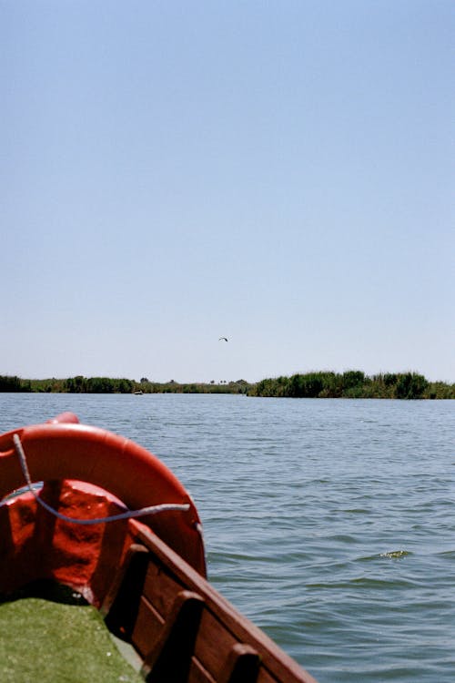Бесплатное стоковое фото с вертикальный выстрел, деревья, катание на лодке