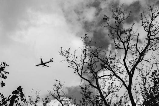A dramatic black and white photo of an airplane flying above silhouetted tree branches.