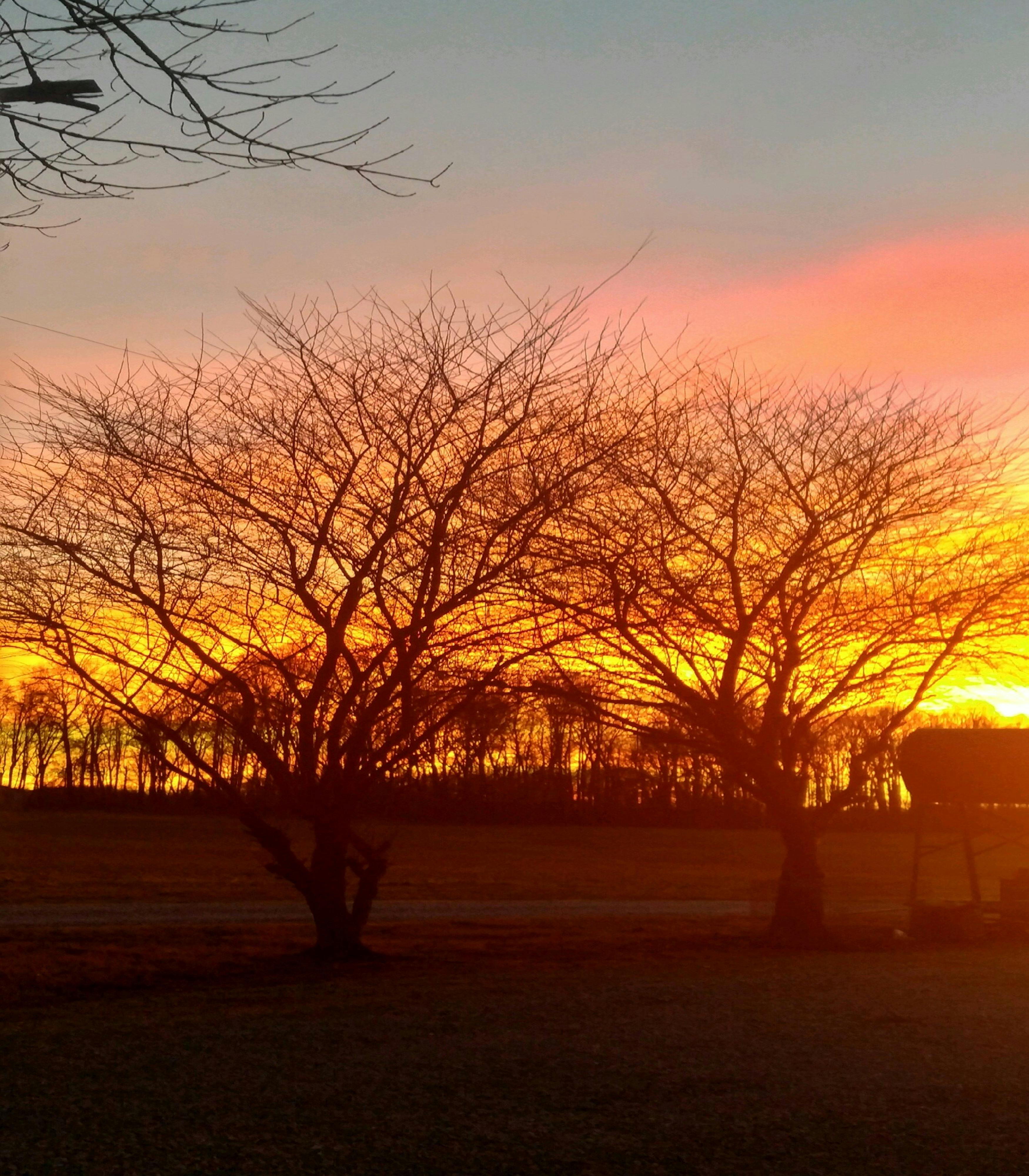 Free stock photo of Sunset On The Farm