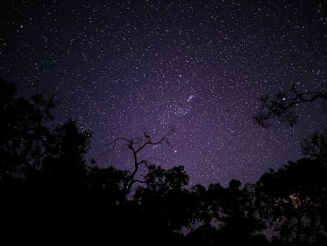 A stunning night sky full of stars with silhouetted trees, creating a serene and tranquil view.