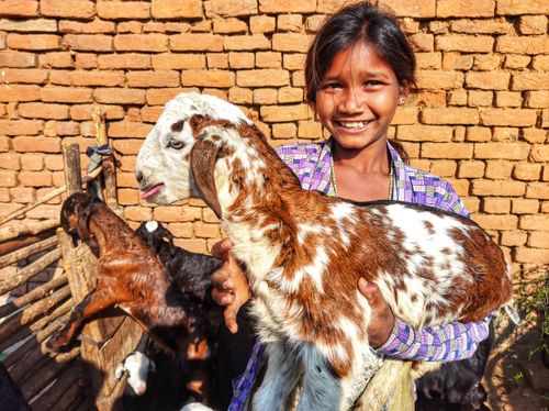 Free A cheerful girl holding a playful goat outside a rustic brick wall, showcasing rural joy and innocence. Stock Photo